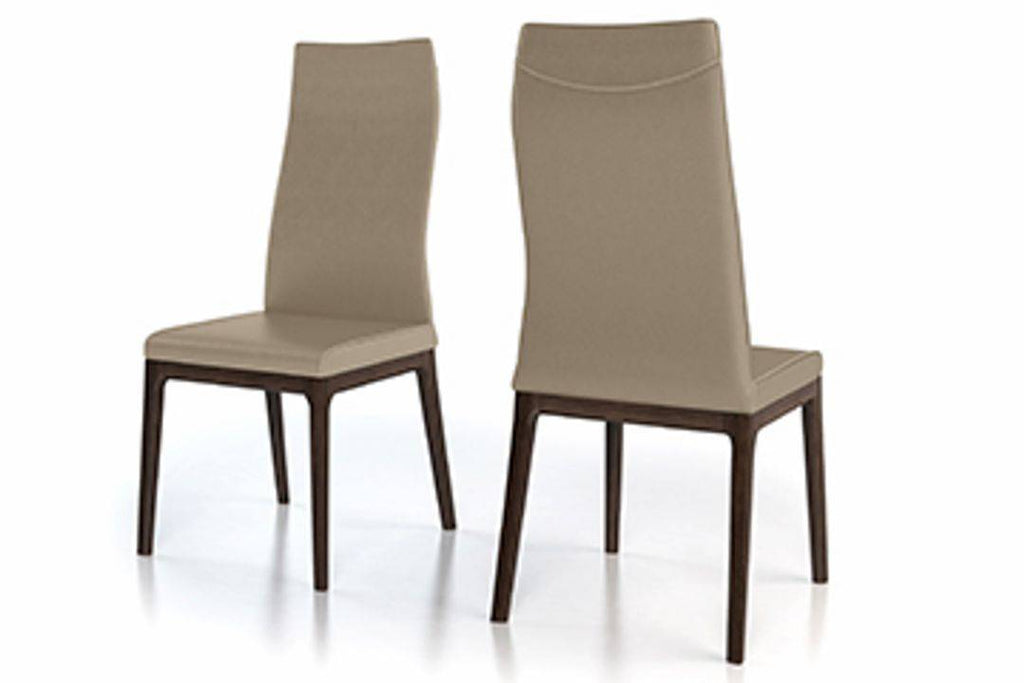 Colibri Amy Leather Dining Chair - Trade Source Furniture