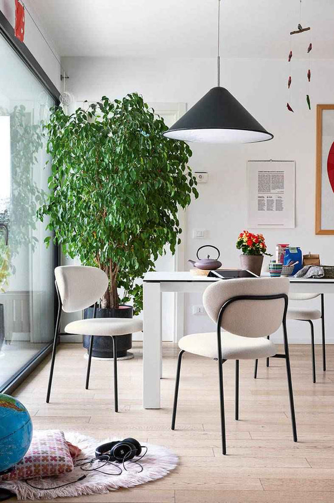 CB2135 Cozy Dining Chair with Metal Legs - Connubia