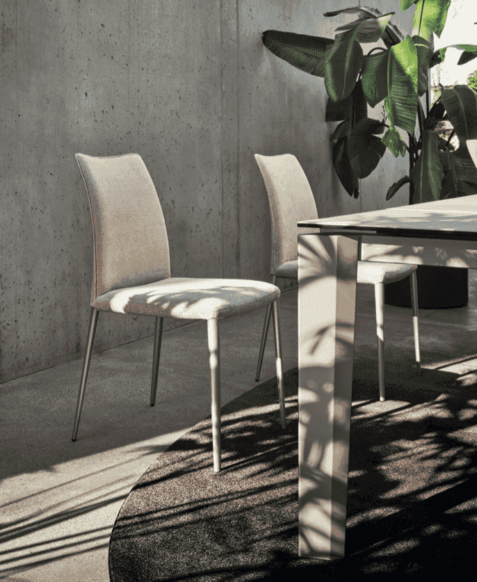 Minimalist dining area featuring two light beige upholstered chairs with slim metal legs, concrete wall background, and natural sunlight