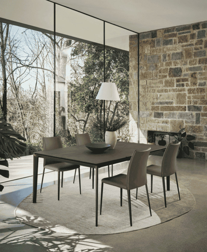Contemporary dining room with a black extending table, surrounded by six upholstered chairs, set on a round rug with large windows