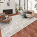 Delano Rug Collection - Trade Source Furniture