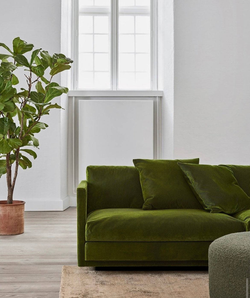 Close-up of green Great Ash Sofa by Eilersen in a modern room with natural light and a potted plant, emphasizing its soft texture.