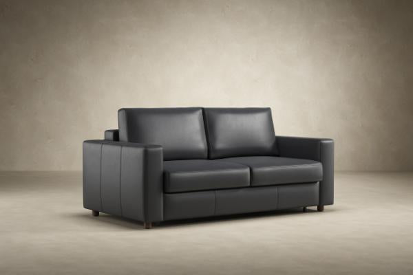Neah Leather Sofa Bed