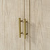 Raffles 2 Door Credenza by Maison 55 - Trade Source Furniture