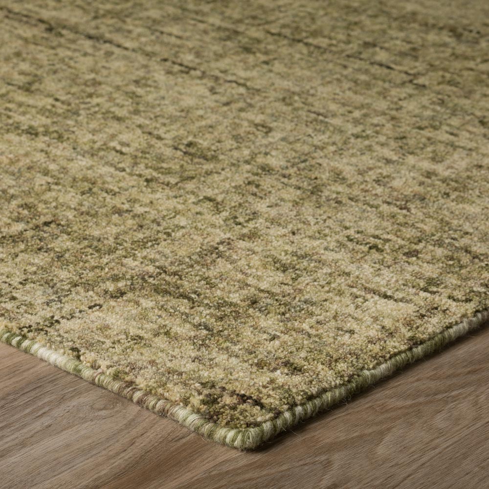 Calisa CS1 Basil Rug | Dalyn Rug Company