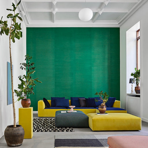 Colorful modern living room with vibrant yellow sofa, blue cushions, green accent wall, large potted plants, and natural light.