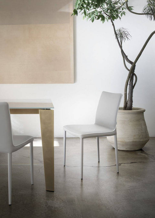Minimalist white dining chair with sleek design, placed in a modern interior with a large potted tree and neutral-toned decor, reflecting Italian living elegance.