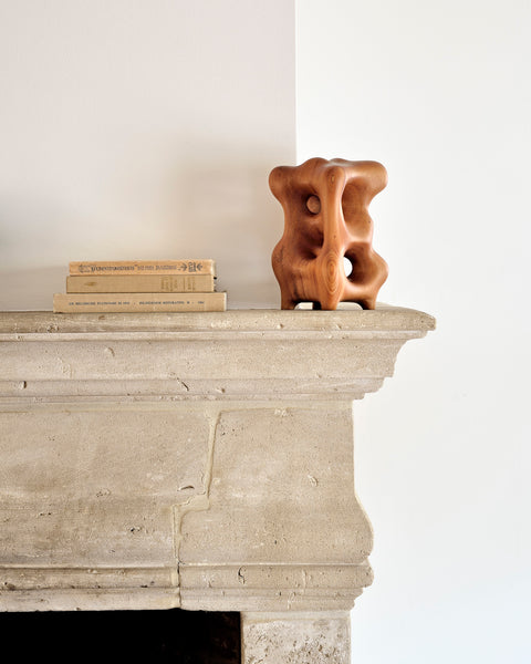 Natural Organic Sculpture