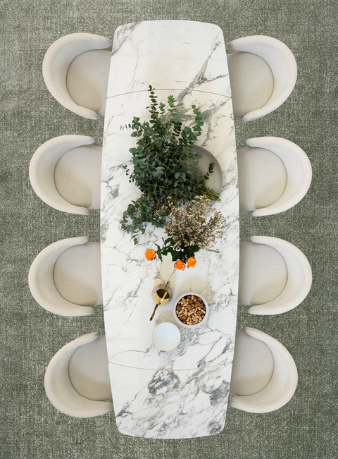 Marble-patterned skateboard with plants and a vase on a textured surface