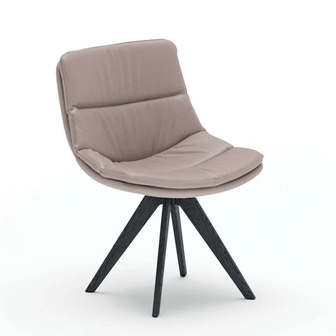 Sally Dining Chairs by Ozzio Italia