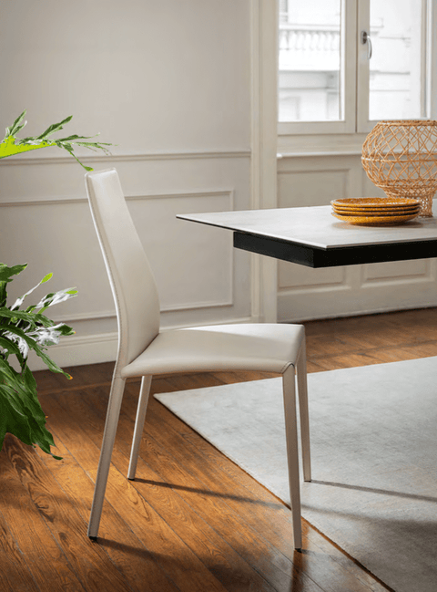 CS1484 Leather Aida Chair - Calligaris