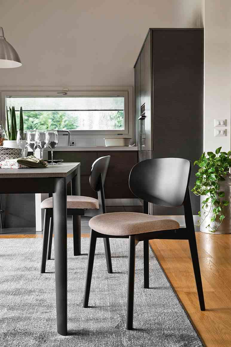 plants chair ビンテージチェア　icca CB2188-A Eide Dining Chair Made in Italy by Connubia – Trade