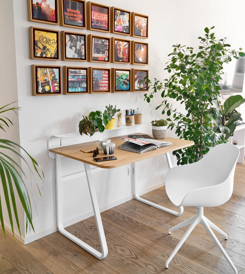 CB4844 Foldy Desk - Connubia