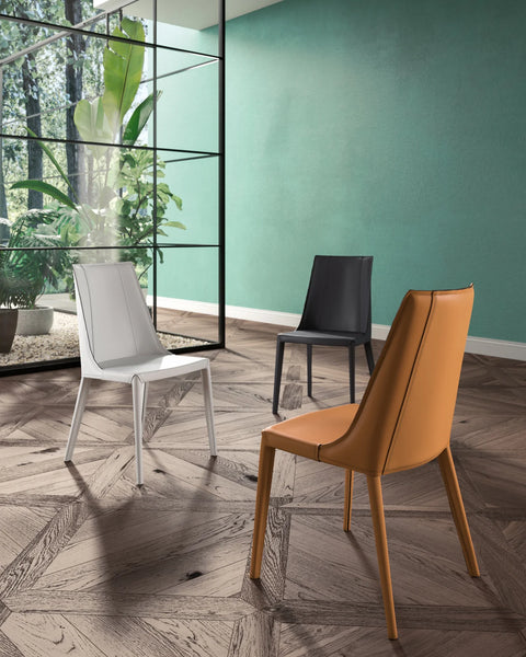 Loren Dining Chairs by Ozzio Italia
